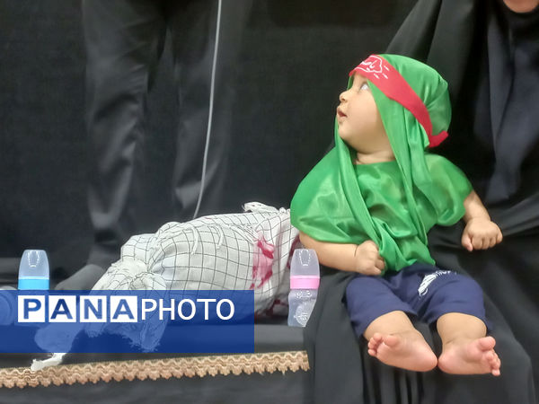 همایش شیرخوارگان حسینی(ع) در قم - 2