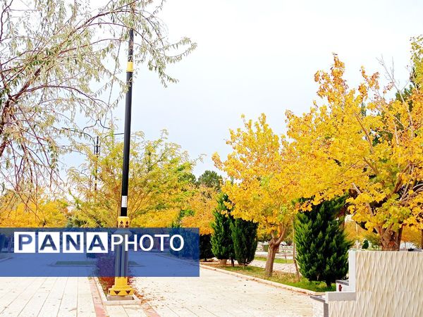 کاشمر در برگریزان پاییز