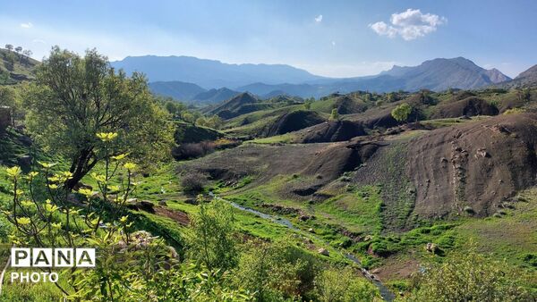 معمولان؛ نگین سرسبز زاگرس در آغوش لرستان