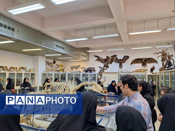 بازدید دانش‌آموزان از موزه زمین شناسی و جانور شناسی دانشگاه فردوسی مشهد