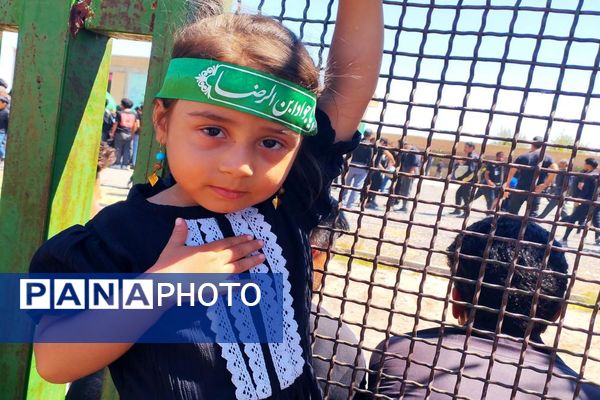 مراسم جاماندگان اربعین در مشهد مقدس