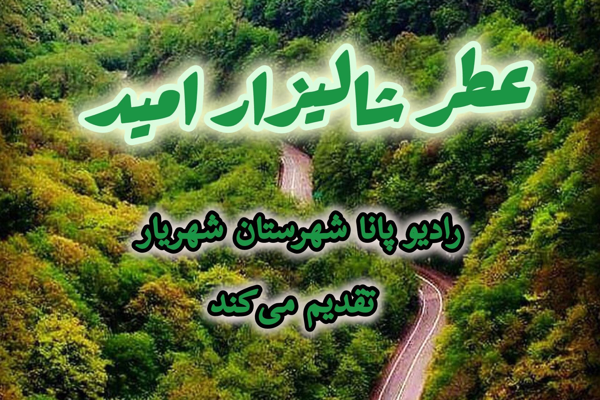 عطر شالیزار امید 