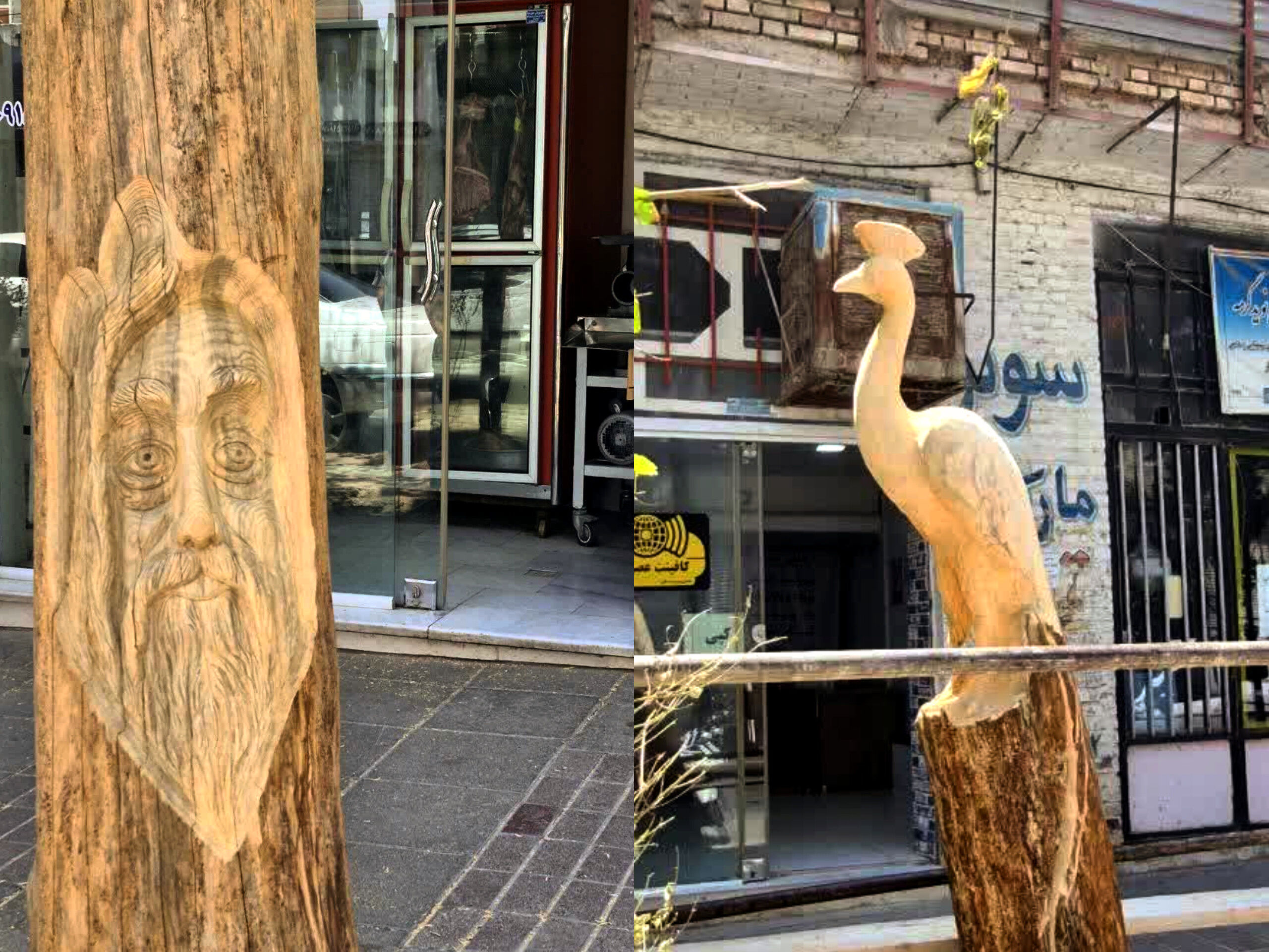 طرح زیباسازی شهری با جان بخشیدن به درختان در گرمه 