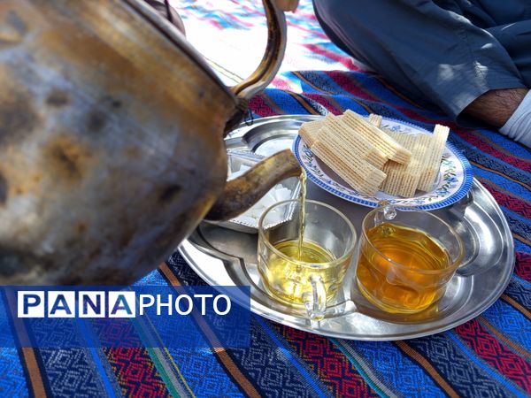 روز طبیعت در خانه‌ای کوچک و دلنشین بی‌‌بی گل و آقا جان