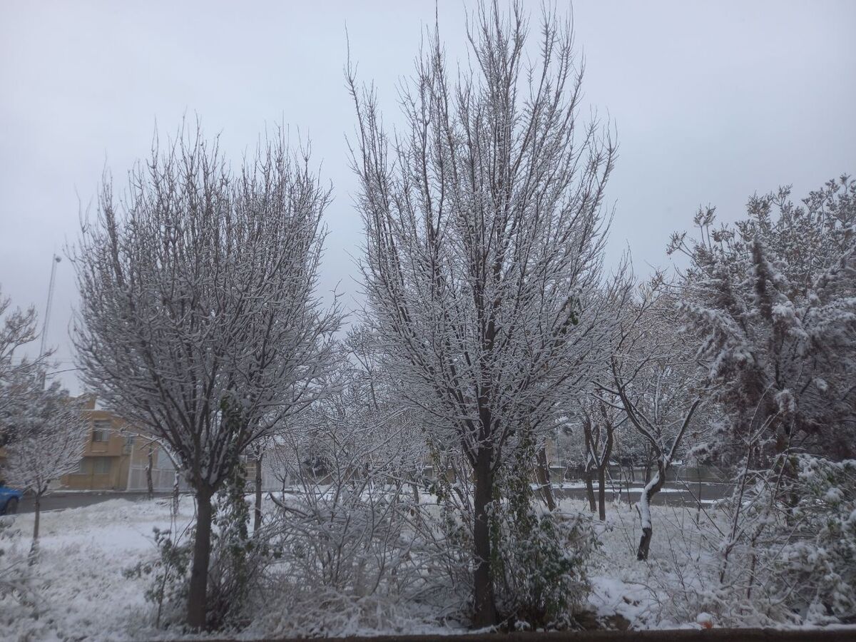 بارش برف لرستان؛ فصل جدیدی از زیبایی و چالش*