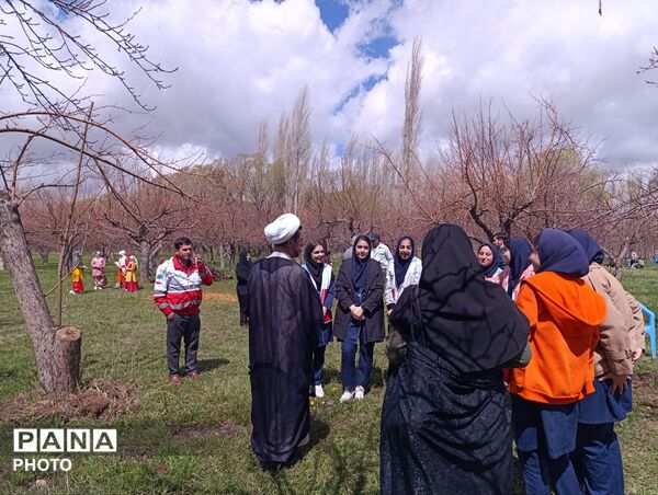 کاشت نهال در اردوگاه دانش آموزی امام خمینی(ره) منطقه ازناو شهرستان خلخال