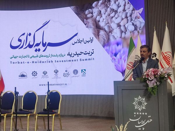 نخستین اجلاس فرصت‌های سرمایه‌گذاری تربت‌حیدریه در مشهد