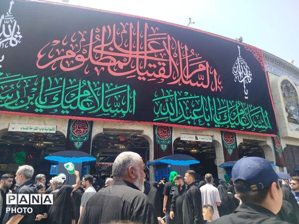 عاشقان حرم اباعبدالله الحسن در روز اربعین عراق 