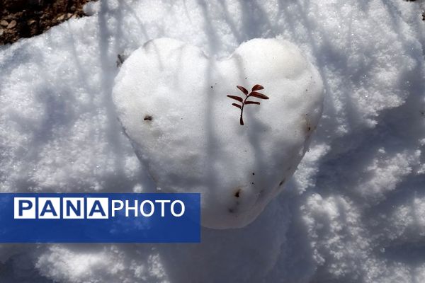 رد پای برف در باغات نهضت آباد اصفهان