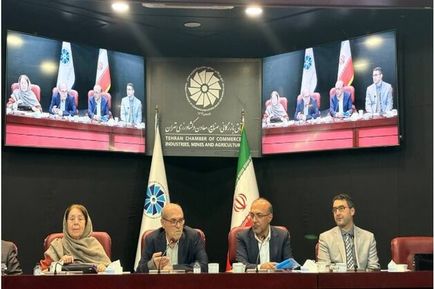 دستیابی به رشد پایدار با  رفع مشکلات فعالان اقتصادی