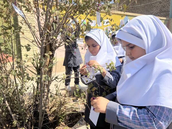 از «درخت آرزوها» تا «نمایشگاه هنری» در جشن روز کودک دبستان احمد کاظمی ۲