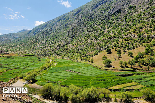 مهمان نوازی مردم انقلابی و غیور روستای پل بریده از مسئولین و رزمندگان