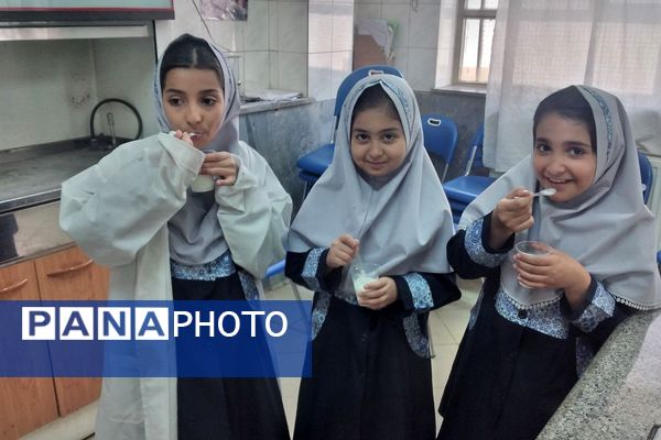 مزه شیرین علم، بستنی علمی