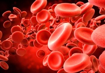 اهدای خون، اهدای زندگی؛ ۹ مرداد، روز ملی نجات جان انسان‌ها