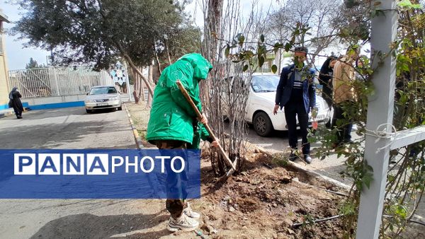 دختران ورزشکار ملاردی با کاشت نهال، آینده‌ای سبزتر برای زمین رقم می‌زنند