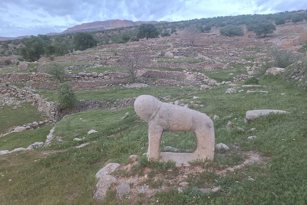 قبرستانی تاریخی و سرسبز به قدمت چند صد ساله در فارس