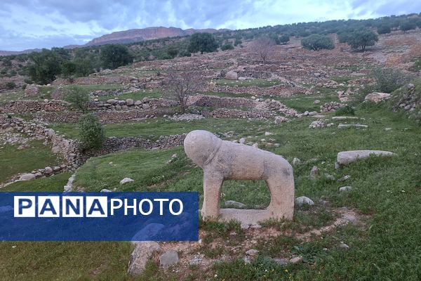 قبرستانی تاریخی و سرسبز به قدمت چند صد ساله در فارس