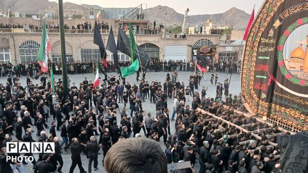 آیین دیرینه نخل برداری آخر ماه صفر در شهرستان تفت