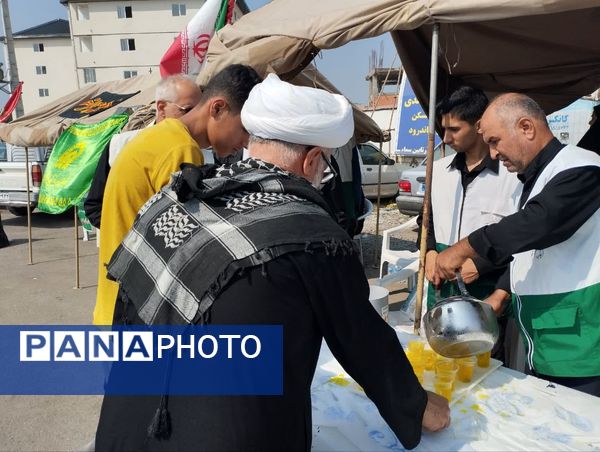 برپایی موکب امام رضا(ع) در میاندورود 