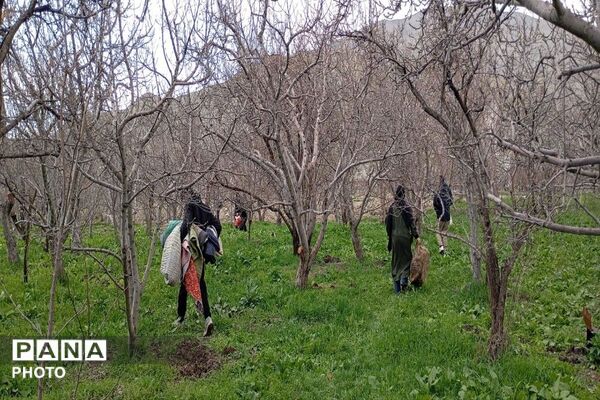 سیزده بدر روز طبیعت ۱۴۰۵در شهر بار نیشابور 