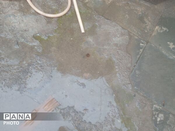 بارش باران بهاری در شهرستان نیشابور