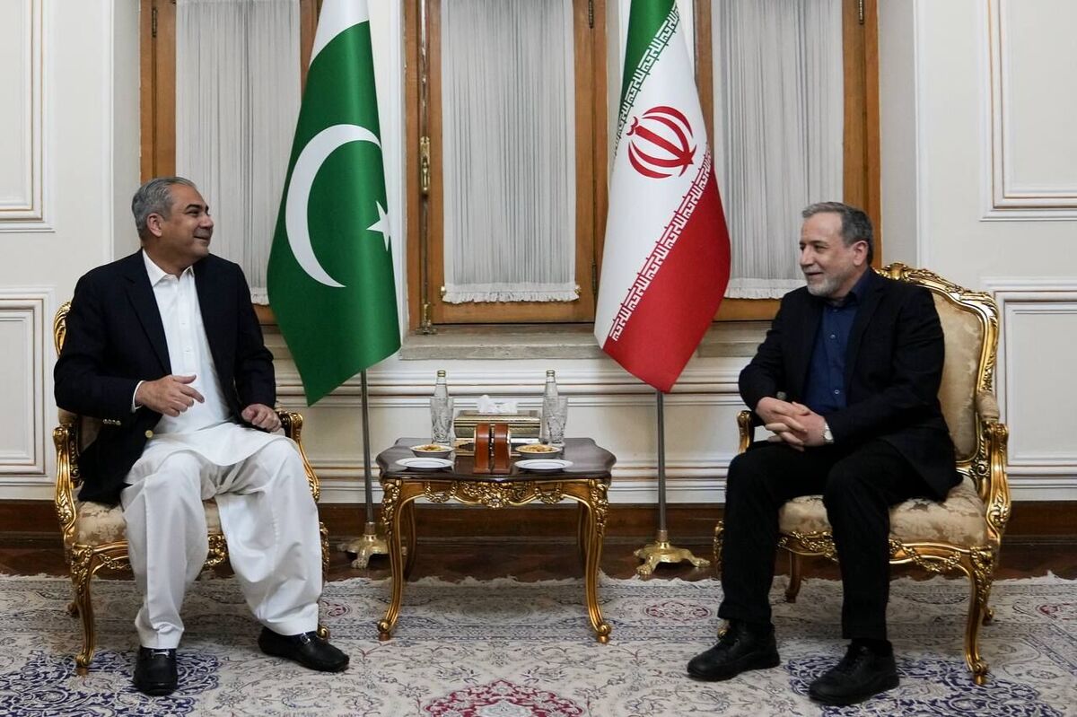دیدار و گفت‌وگوی وزیر کشور پاکستان با عباس عراقچی
