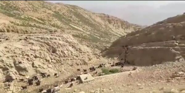  سرزمین عشق در دل سختی‌ها