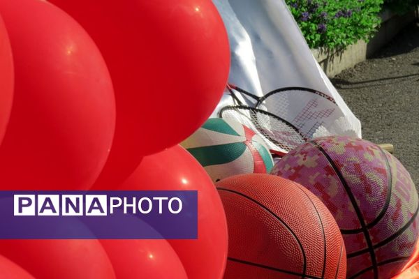 از میدانِ ورزش تا صندوقِ رای