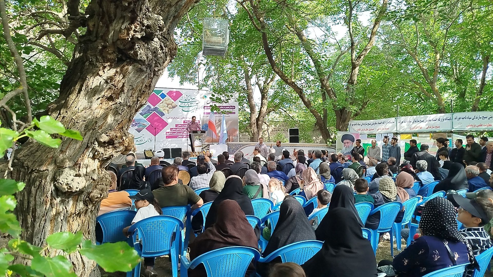 جشنواره توت سفید در هوراند