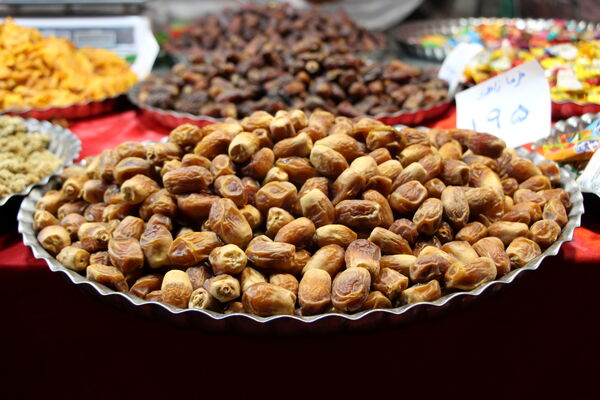 نمایشگاه شب یلدا در باغ دولت‌آباد یزد