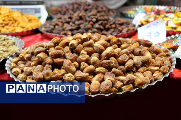 نمایشگاه شب یلدا در باغ دولت‌آباد یزد