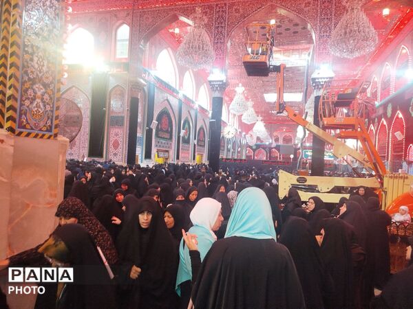 عاشقان حرم اباعبدالله الحسن در روز اربعین عراق 