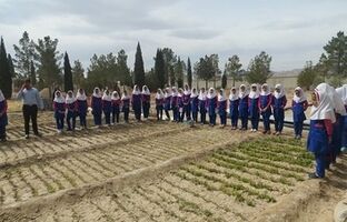انعقاد تفاهم‌نامه با آموزش ‌و پرورش در راستای ارتقای فرهنگ محیط زیستی