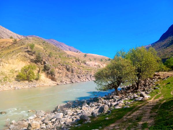 طبیعت بهاری، فرصتی برای سرزندگی روح 