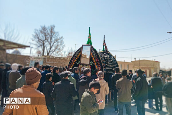 نخل‌برداری بنادکوک‌دیزه در سوگ امام علی (ع)