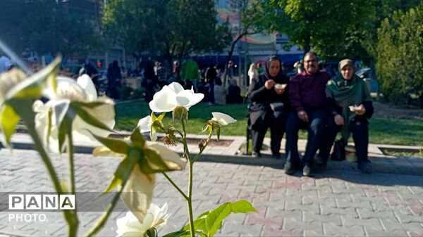 برگزاری عید غدیر در پارک چمران شهرستان ملایر