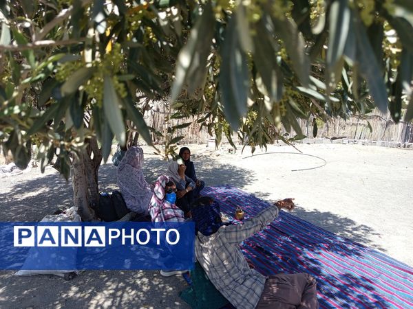 روز طبیعت در خانه‌ای کوچک و دلنشین بی‌‌بی گل و آقا جان