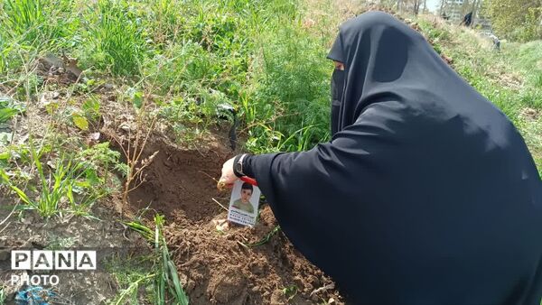 کاشت نهال فرهنگیان و دانش‌آموزان استان البرز با لبیک به فراخوان رهبر معظم انقلاب برای شهیدان شجره طیبه میناب