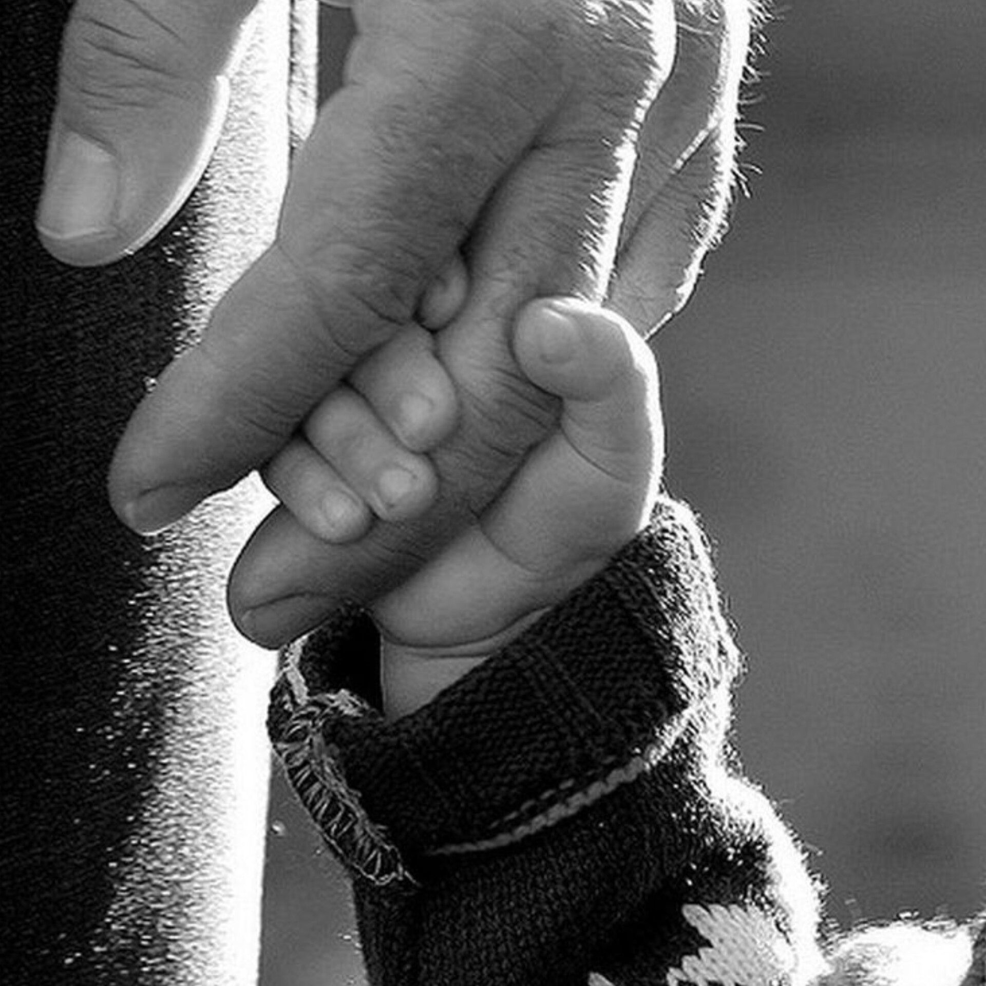 صدای قدردانی دانش‌آموزان از پدران ایران در رادیو پانا