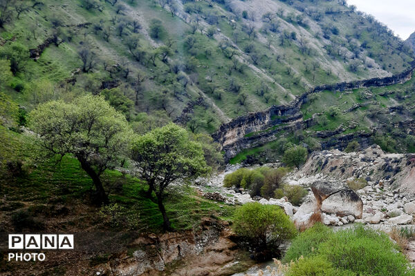 طبیعت روستای بیدله به هنگام بهار