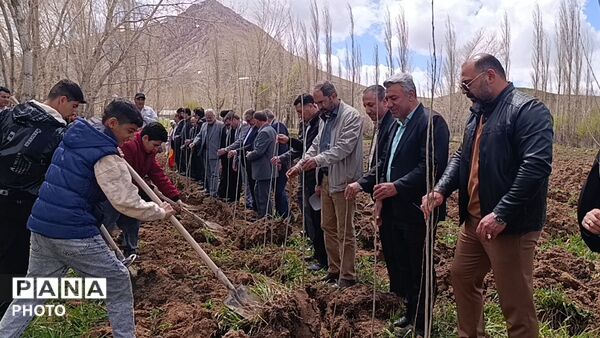 کاشت نهال در اردوگاه دانش آموزی امام خمینی(ره) منطقه ازناو شهرستان خلخال