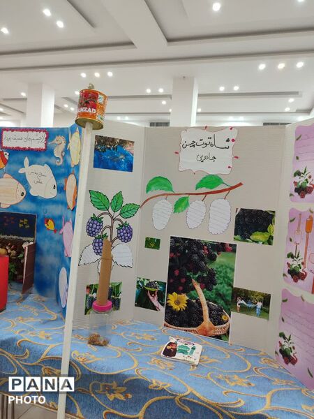 نمایشگاه طرح جابر در تفت