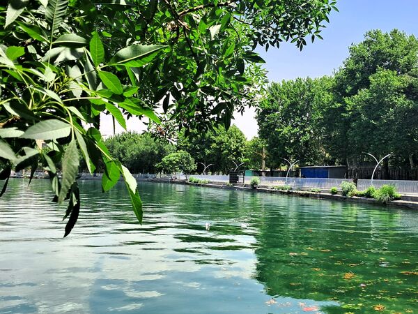 بازدید از باغ وحش ارم ،تجربه‌ای بی‌نظیر در دنیای شگفت‌انگیز حیوانات 