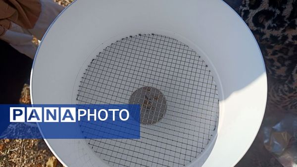 بازدید دانش‌آموزان مدرسه الزهرا یاسوج  از ایستگاه هواشناسی