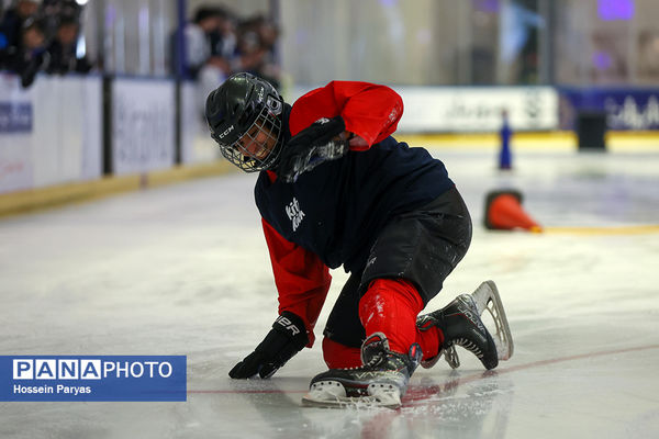 مسابقات اسکیت روی یخ