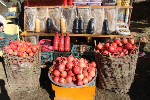 پنجمین جشنواره انار خدا آفرین