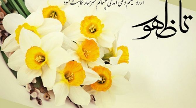 فجر مهدوی 