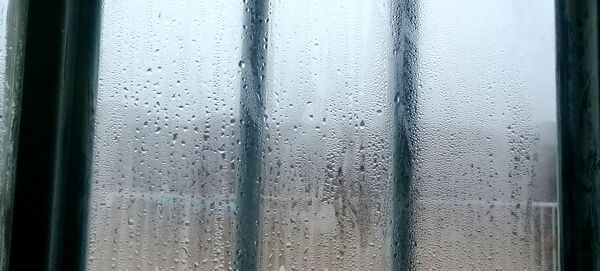 بارش برف پاییزی در شهرزیبای بار نیشابور 
