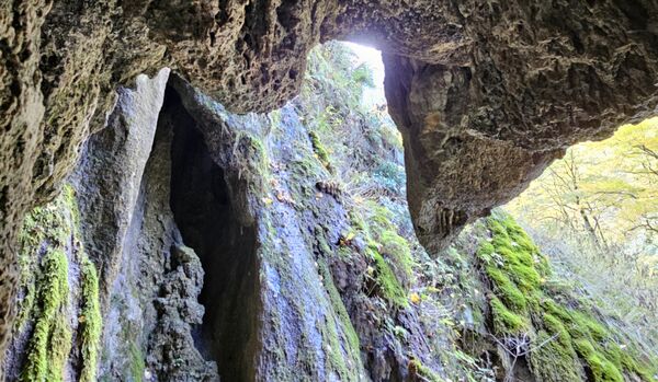 طبیعت بکر باران کوه استان گلستان