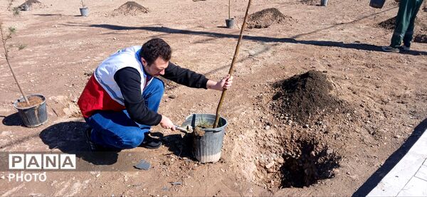 با کاشت هر نهال، ایجاد امیدی تازه در کشور